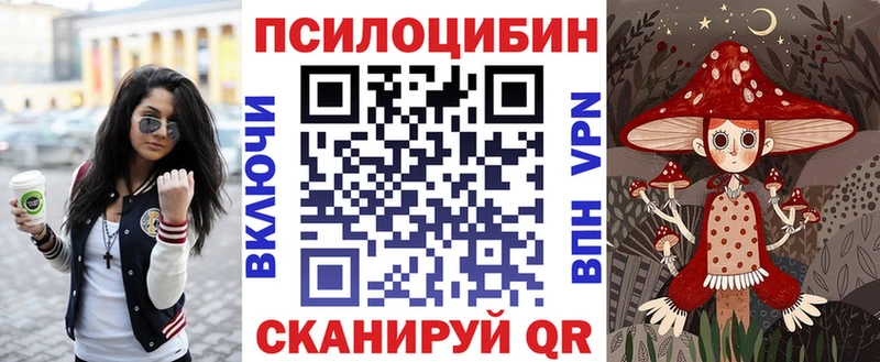 mega онион  Электрогорск  Псилоцибиновые грибы MAGIC MUSHROOMS 