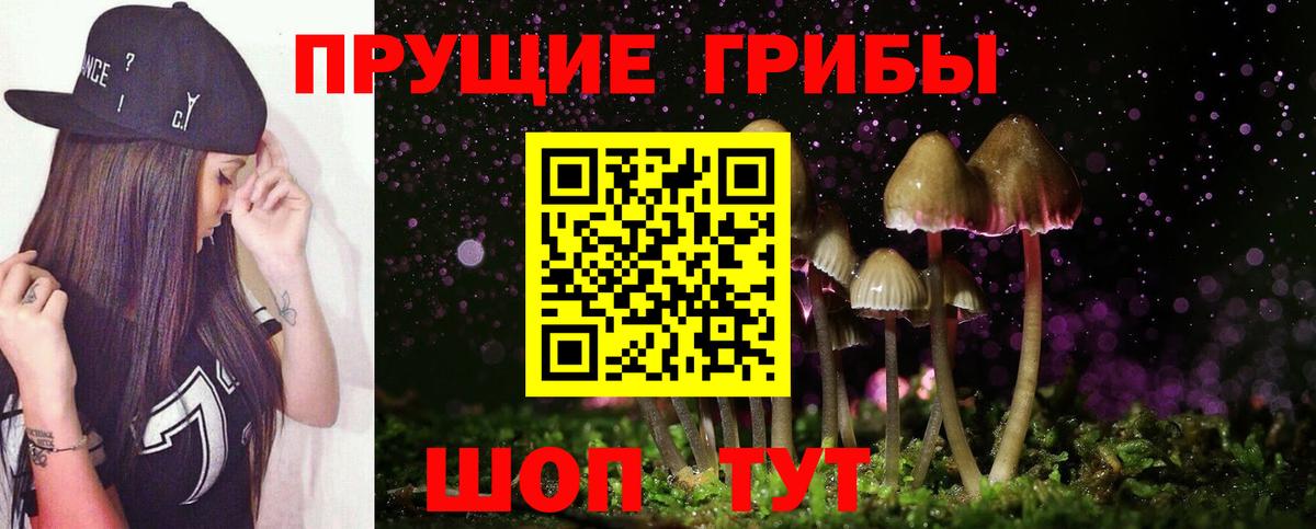 Электрогорск  Псилоцибиновые грибы прущие грибы  Вход с VPN 